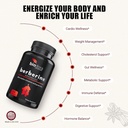Berberine Advanced Plus with 1200mg Berberine - 100mg Ceylon Cinnamon and 100mg Green Tea Extract - 1400mg Per Dose -120 Capsules - 60 Day Supply - Supports Immune and Cardiovascular 5