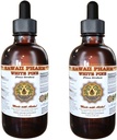White Pine Liquid Extract, White Pine (Pinus Strobus) Bark Powder Tincture, Herbal Supplement, Hawaii Pharm, Made in USA, 2x4 fl.oz 2