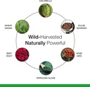 Dr. Schulze's SuperFood Plus | Vitamin & Mineral Herbal Concentrate | Daily Nutrition & Increased Energy | Gluten-Free & Non-GMO | Vegan | 390 Tabs | Packaging May Vary 6