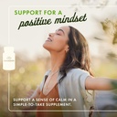 Swanson Free Form L-Lysine - Natural Supplement Promoting Stress Support & Nervous System Health - May Promote Calm Mood & Relaxation - (300 Capsules, 500mg Each) 2 Pack 3