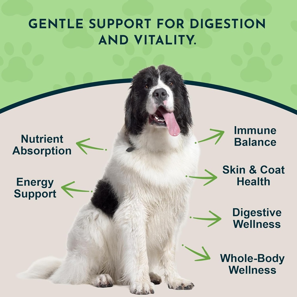 Animal Essentials Herbal Green Alternative for Dogs & Cats - Super Greens Powder Herbal Supplement with Spirulina, Antioxidants, Chlorophyll - 12 Oz 4