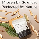 Auri Super Mushroom Chill Gummies - Natural Calming Aid & Stress Reduction Supplement for Adults w/Reishi Mushroom, Ashwagandha, L-Theanine - Unwind Mind & Harmonize Your Day - 60 Calm Gummies 5