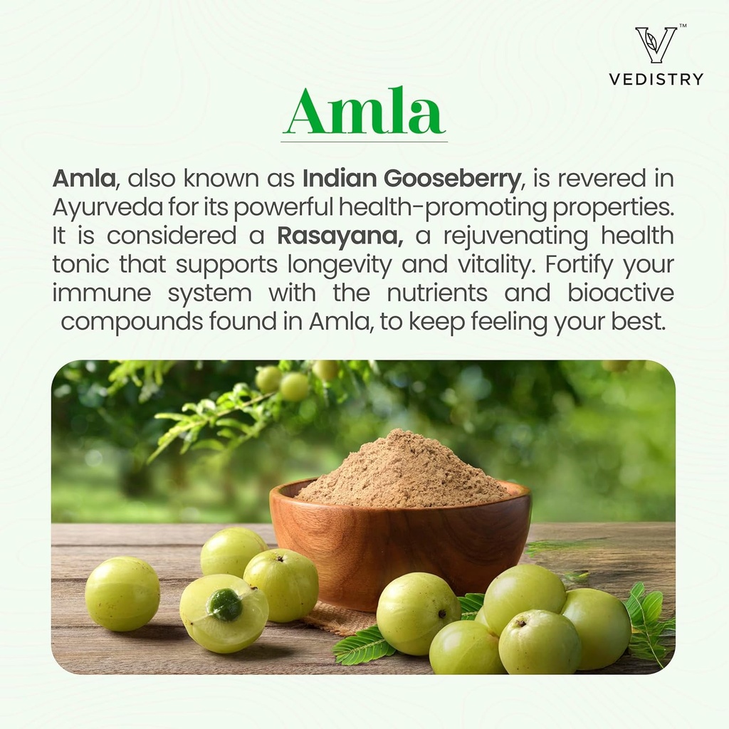 Amla+ Fruit Extract Supplement | 1100mg Indian Gooseberry Tablets with Long Pepper | Natural Vitamin C & Antioxidants for Immune Support, Vitality & Wellness | 60 Vegan Tablets 3