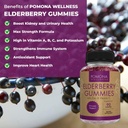 Pomona Wellness Elderberry Gummies with Zinc and Vitamin C for Immune Support 3-1 Chewable Black Elderberry Gummy Supplement for Kids and Adults, Vegan, 90 Gummies 3
