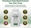 PRISTINE'S Holy Basil Capsules - 500 mg Gluten Free Immunity & Relaxation Support Adaptogen Supplement - 60 Day Supply - Tulsi Holy Basil Leaf Extract Capsules - Vegan - Non-GMO 3