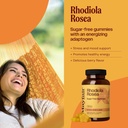 Rhodiola Rosea Sugar Free Gummies, Dietary Supplement, 1500mg, 60 Gummies, Natural Berry Flavor 3