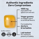 Turmeric Gummies for Women | Turmeric Supplement Gummies for Inflammation | Turmeric Gummies for Adults | Natural Curcumin, Low-Sugar, Vegan, Mandarin Orange Flavor, 45 Count 3