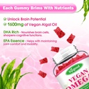 Omega-3 Gummies Potent Algae Omega Source, Boost Brain, Eye & Immune Function, with DHA and EPA Vegan & Sugar Free, Orange Flavor, 60 Count 3