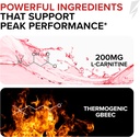 InnoSupps Volcarn 2000 - L-CARNITINE Advanced Energy Liquid | ATP Enhancer with GBEEC | Boosts Energy, Enhances Focus, Caffeine Free, No Artificial Sweeteners | 32 Servings (Sour Kids Candy) 3