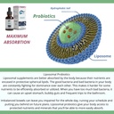 Liposomal Probiotics, Probiotics for Women & Men, Powerful 35 Billion CFUs Non-GMO, Vegan, Gluten-Free, Liquid Drops for Digestive Health and Immune Support 59 Servings 5