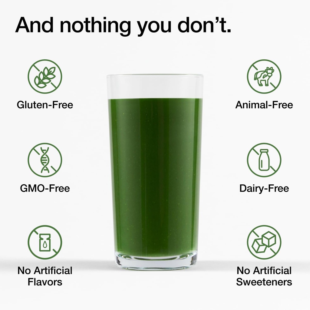 Huel Daily Greens Single Serve | Superfood Greens Powder | 91 Vitamins, Minerals, and Wholefood-Sourced Ingredients | Adaptogens, Antioxidants, Gut-Friendly Probiotics | 12 Pack 6