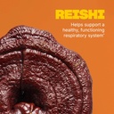 Swisse Lung Detox and Cleanse | Lungs Support Supplement & Respiratory Health with Mullein Leaf Extract, Reishi, Astragalus | Healthy Immune System with Zinc & Vitamin C | 90 Tablets 4