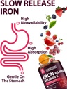 Iron Supplement for Women Men | High Potency Iron 65mg with Vitamin C 250mg | Stomach Friendly Iron Pills for Red Blood Cell & Immune Support | Vegan, Non-GMO & Gluten Free | 30 Tabs 5