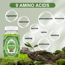 Well&Whole Essential Amino Acids Supplement Gummies – 9-in-1 EAA Gummies for Women & Men, Energy & Muscle Recovery Support – Amino Acids Supplement, Mixed Berry, 30 Servings 3