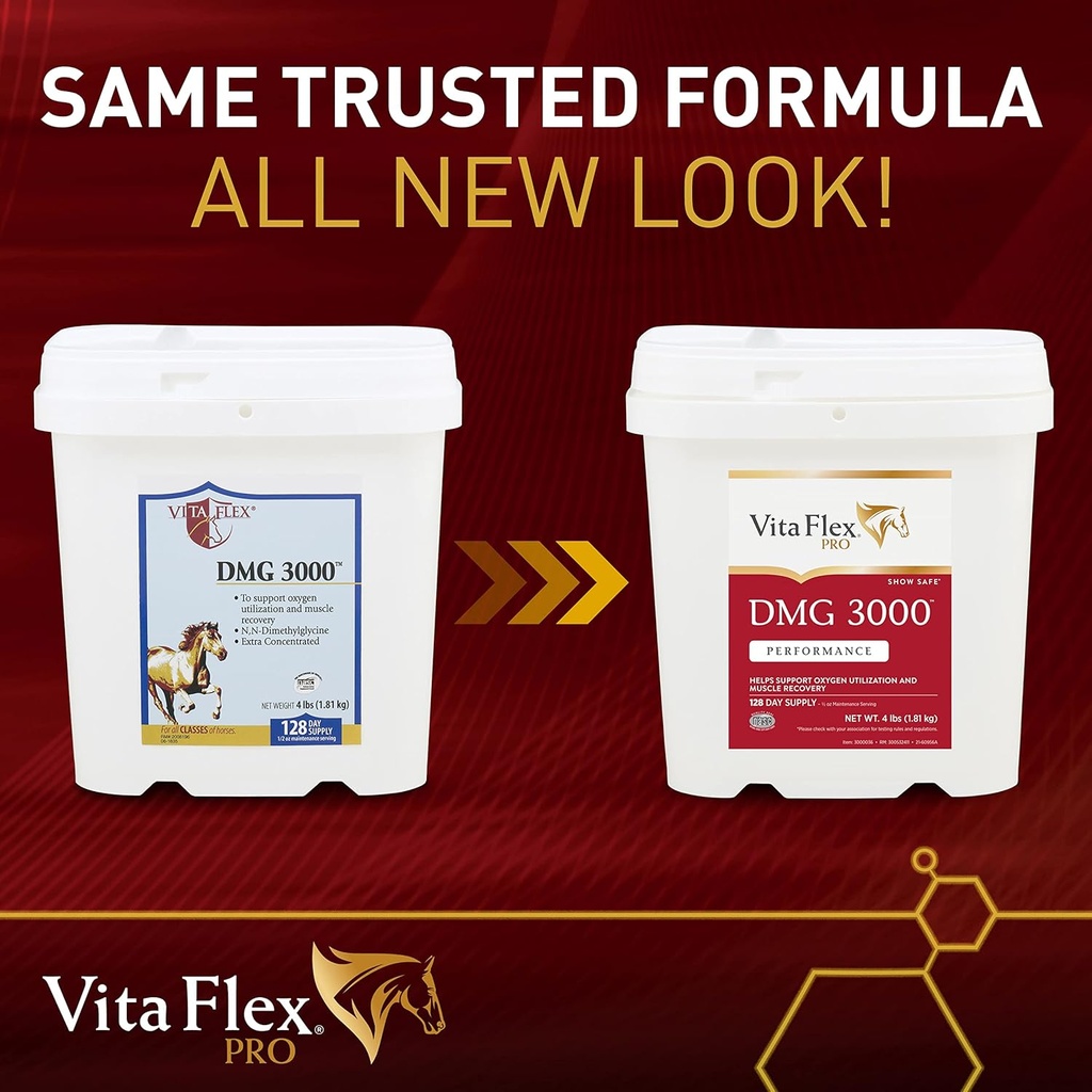 Vita Flex Pro DMG 3000 Horse DMG Concentrate, 4 Pounds, 128-Day Supply 3