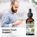 BIO KRAUTER Stinging Nettle Tincture - Nettle Root Extract Liquid - Urinary Support Supplement - Urtica Dioica Natural Extract - Vegan, Sugar & Alcohol Free Drops 2 Fl.Oz. 3