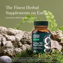Gaia Herbs Turkey Tail Mushroom - Immune Support Supplement to Help Maintain Liver Health - with Organic Turkey Tail Mushroom Fruiting Body Extract - 120 Vegan Capsules 3