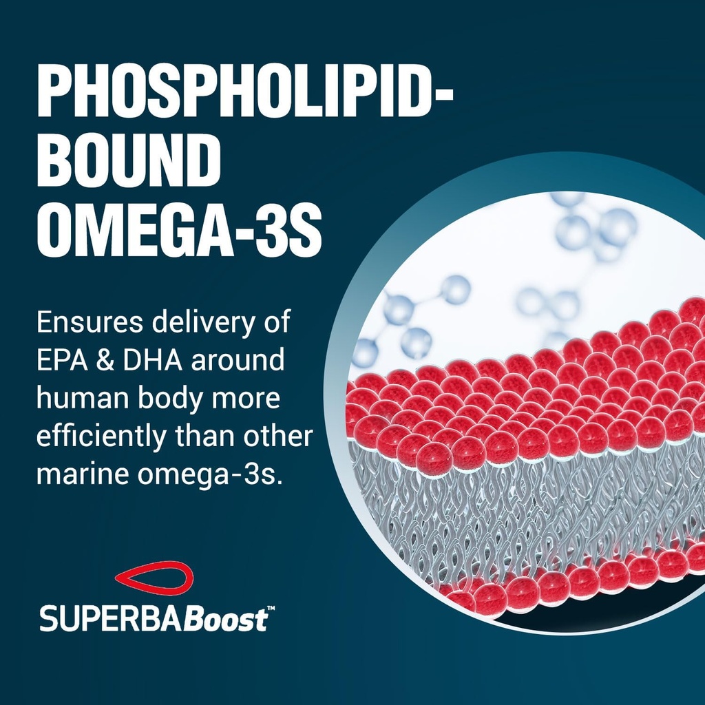 LABO Nutrition Perfect Krill EX, 1000mg Antarctic Krill Oil Omega 3 EPA DHA, Highest Phospholipids (Over 56%) with Choline, Astaxanthin | Heart Brain Eye Joint Health, Made in USA, 60 softgels 4