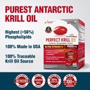 LABO Nutrition Perfect Krill EX, 1000mg Antarctic Krill Oil Omega 3 EPA DHA, Highest Phospholipids (Over 56%) with Choline, Astaxanthin | Heart Brain Eye Joint Health, Made in USA, 60 softgels 6