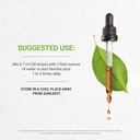 Secrets of the Tribe Yohimbe Alcohol-Free Liquid Extract, Wildcrafted Yohimbe (Pausinystalia yohimbe) Dried Bark Tincture Supplement (2 FL OZ) 4