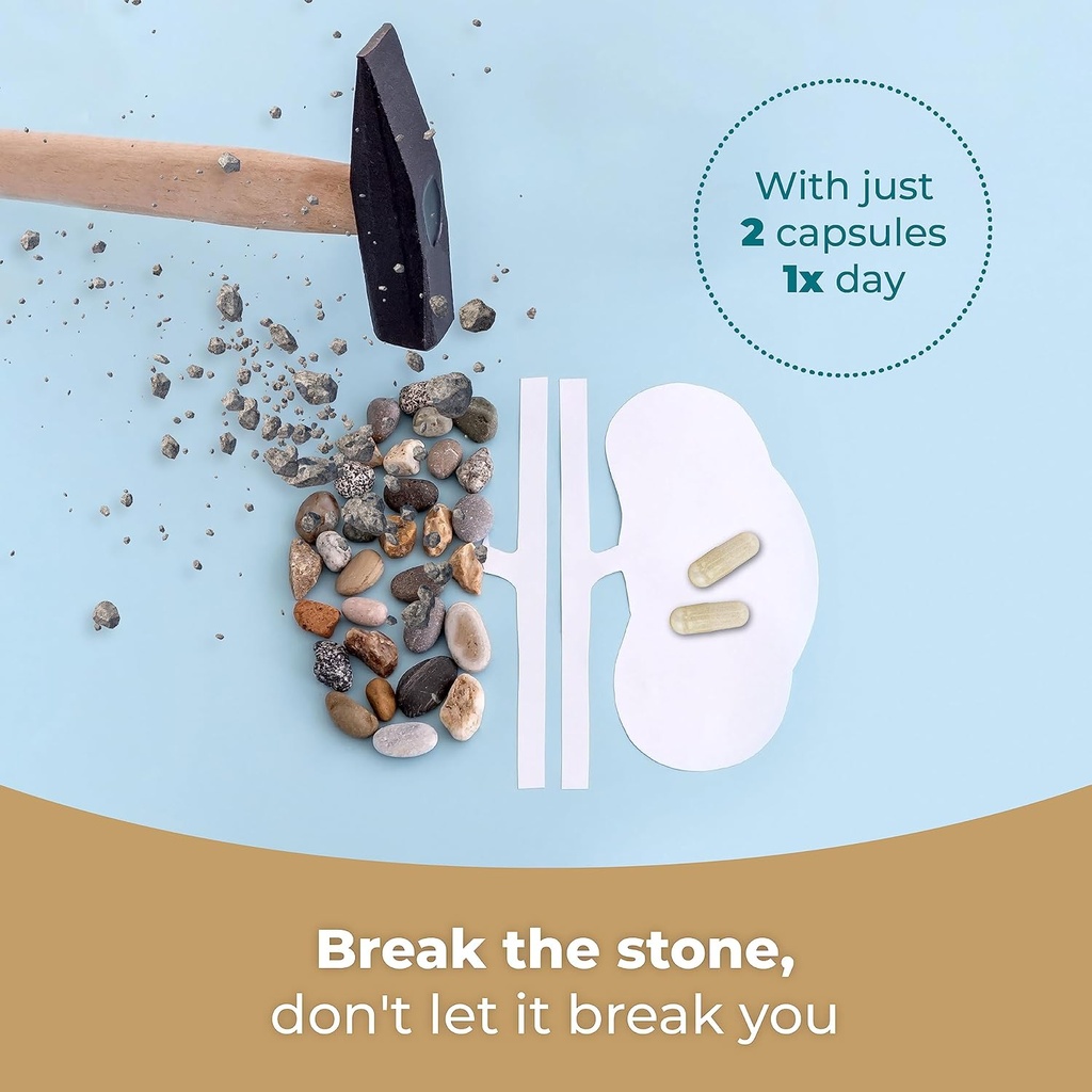 PUREHEALTH RESEARCH Kidney Health Formula - Complete Kidney Cleanse Solution from Effective Kidney Stones Dissolver with Chanca Piedra Stone Breaker for Ultimate Kidney Support - 1 Bottle 6