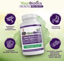 YourBiotics Prebiotics and Probiotics for Men & Women - Digestive Enzymes with Probiotics and Prebiotics Acid Resistant - Women & Mens Probiotics for Gut Health Immune Support & Digestion - 60 Count 4