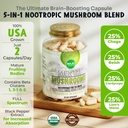 MENTAL Mushroom Capsules, Organic Extract Supplement w/ Lion's Mane, Cordyceps, Reishi and Chaga, Boost Your Focus, Energy, Wellness and Immune System - Nootropic Mushrooms, Immune Support 90ct 4