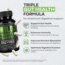 Wild Prebiotics and Probiotics with Digestive Enzymes | 20 Billion CFU - 10 Strains for Women & Men | Support Gut Health & Digestion Supplements | Non-GMO Prebiotic Fiber | 30 Count (Pack of 2) 4