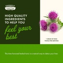 Swanson Milk Thistle - Herbal Liver Support Supplement - Natural Formula Helping to Maintain Overall Health & Wellbeing - (100 Capsules, 500mg Each) 3 Pack 6