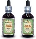 Black Currant (Ribes nigrum) Tincture, Dried Leaves Liquid Extract (Brand Name: HerbalTerra, Proudly Made in USA) 20x4 fl.oz (20x120 ml) 5