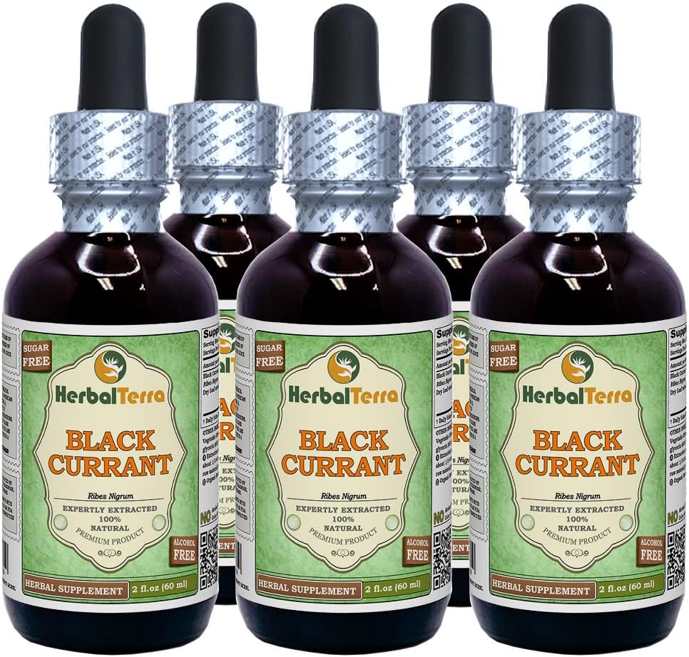 Black Currant (Ribes nigrum) Tincture, Dried Leaves Liquid Extract (Brand Name: HerbalTerra, Proudly Made in USA) 20x4 fl.oz (20x120 ml) 6