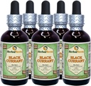 Black Currant (Ribes nigrum) Tincture, Dried Leaves Liquid Extract (Brand Name: HerbalTerra, Proudly Made in USA) 20x4 fl.oz (20x120 ml) 6