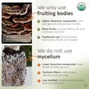 Organic Turkey Tail Mushroom Powder Supplement 100g | Pure Fruiting Body 10:1 High Strength Extract | 50% Beta-D Glucans | 16,600mg Raw Equivalent Per Serving | Immune, Gut & Microbiome Support 4