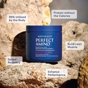 BodyHealth PerfectAmino Powder - BCAA and EAA Powder for Pre and Post Workout - Amino Acid Energy Drink for Men and Women to Support Lean Muscle and Recovery - Mixed Berry - 60 Servings 4