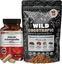 DailyNutra KSM 66 Ashwagandha (90 Capsules) and Mushroom Cacao Mix (16oz) Bundle for Relaxation and Focus 2
