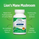 DOCTORS' PREFERRED Lions Mane Mushroom Supplement - 1,000 mg/Serving, 60 Vegan Capsules for Brain Health and Overall Daily Wellness. (30-Day Supply) 5