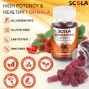 Ashwagandha Gummies, Calm Gummies with Ashwagandha Root Extract Vitamin D Zinc, Ashwagandha Supplement for Sleep Stress Balance, Vegan, Non-GMO, Gluten-Free, 60 Count 3