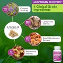 Vital Plan Immune Support Supplements by Dr. Bill Rawls – Immune Boost Bundle w/Japanese Knotweed, Cat’s Claw, Chinese Skullcap & Reishi Mushroom 6