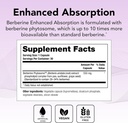 Theralogix Berberine Enhanced Absorption - 30-Day Supply - Made with Berberine Phytosome to Help Support Healthy Metabolism & Hormone Balance* - NSF Certified - 30 Capsules 3