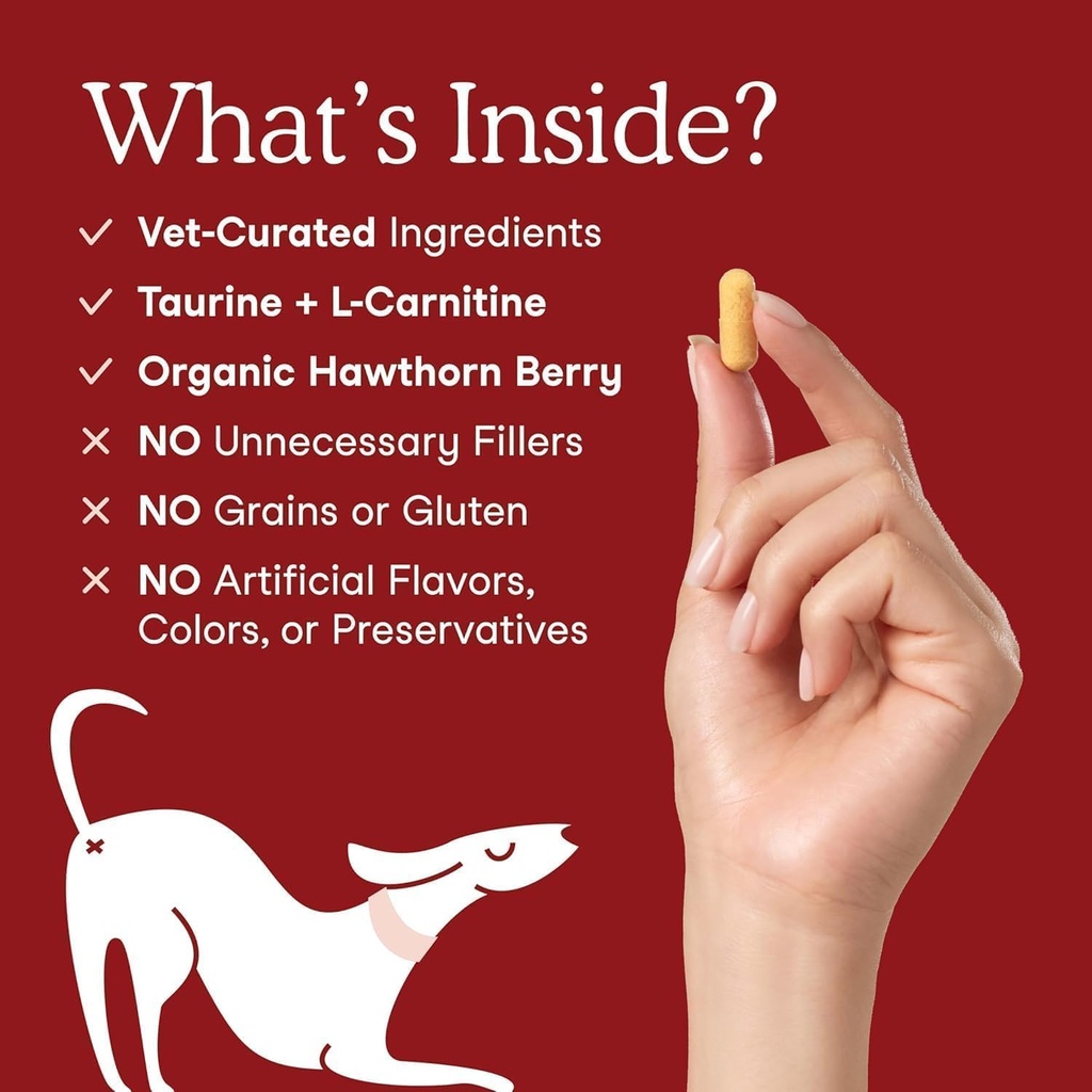 Fera Pets Cardiac Support - Cat & Dog Heart Supplement with Taurine, L-Carnitine, & CoQ10 - Promotes Normal Circulation and Heartbeat - 60 Capsules 4