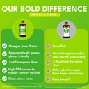 Bold Botanica Plant Omega 3-6-9, with Ahiflower Oil, Vegan Omega 3, Complete Plant-Based Omegas for Brain & Immune Health, Better Than Flax, Fish Free, Great Taste, Sugar-Free, Non-GMO, Liquid- 4 oz 6