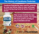 Herbal Nutrition Caralluma Fimbriata 180 Capsules Two Bottle Pack Maximum Strength 10:1 Extract Ratio 1200mg All-Natural Diet, Energy, Endurance and Weight Management Supplement 6