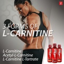 iSatori L-Carnitine LS3 1500, Triple-Blend Liquid L Carnitine Supplement, with Acetyl & Tartrate, Stimulant Free, Low Calories, Sugar & Gluten Free, Keto-Friendly, Mixed Berry Flavor (32 Servings) 4