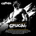 Mutant Caffeine Pills – Pharmaceutical-Grade Pure Caffeine Supplement for Boosting Energy, Focus, Mental Alertness, Performance, & Endurance – Reduces Fatigue & Restores Wakefulness – 240 Tablets 4