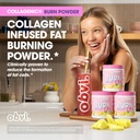 Obvi Collagenic Burn Powder | Multi-Collagen Peptide Blend with GBB, Ashwagandha & Green Coffee | Pineapple Coconut, 25 Servings 4