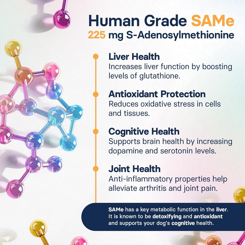 Liver Health Supplement for Medium Dogs - Milk Thistle for Dogs Liver Support with S-Adenosylmethionine (Same) & Silybin - 30 Tablets 6