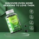 Vitamatic 2 Packs Sugar Free Moringa Gummies- 10000 mg Equivalent Per Serving (from 50:1 Extract 200 mg)- Complete Green Superfood 20X Extract - 60 Pectin Based Gummies 5