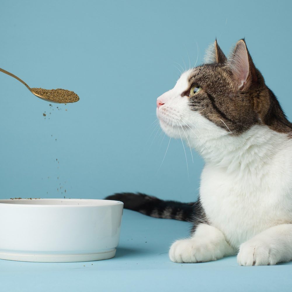 The Missing Link Pet Kelp Feline Well-Being 6oz Superfood Powdered Supplement, Organic & Limited Ingredient Formula for Digestive & Overall Health of Cats 3