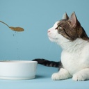 The Missing Link Pet Kelp Feline Well-Being 6oz Superfood Powdered Supplement, Organic & Limited Ingredient Formula for Digestive & Overall Health of Cats 3