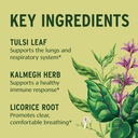 Banyan Botanicals Immune Strong – Organic Supplement with Turmeric & Tulsi ­­– Ayurvedic Immune Formula That Supports The Body's Natural Defenses* – 90 Tablets – Non-GMO Sustainably Sourced Vegan 3